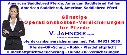 Operationskosten-Versicherungen-fuer-Pferde