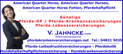 Pferde-OP-Pferde-Krankenversicherungen